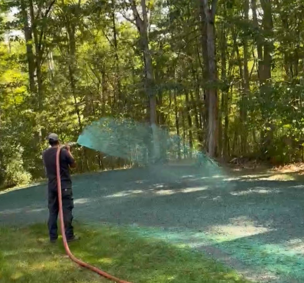 Hydroseed being sprayed over a prepared lawn area