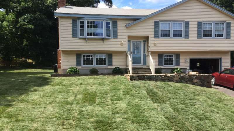 New lawn grown in after hydroseeding at a split-level home